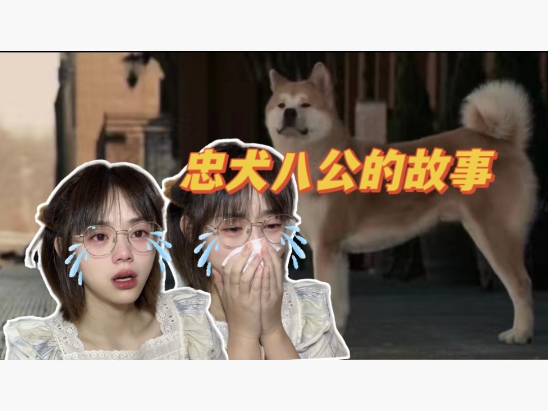 【忠犬八公的故事Reaction】省流，这把纯哭