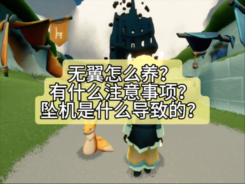 【光遇】全网最全无翼养成指南！无翼家长必看！！
