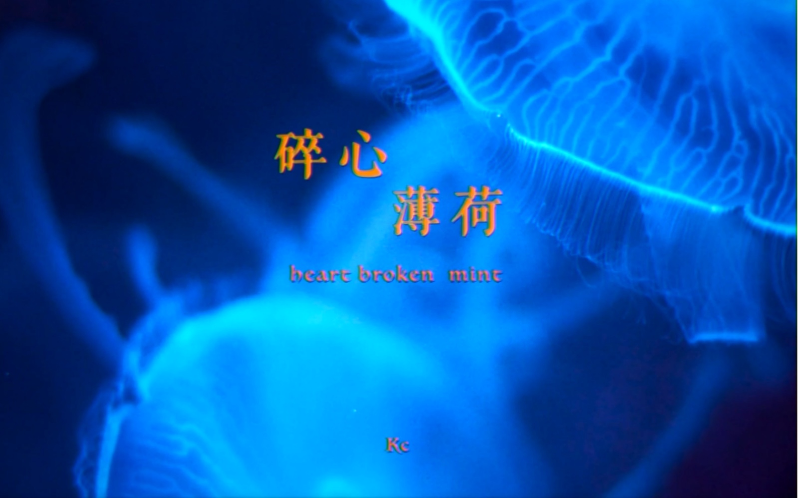 碎心薄荷