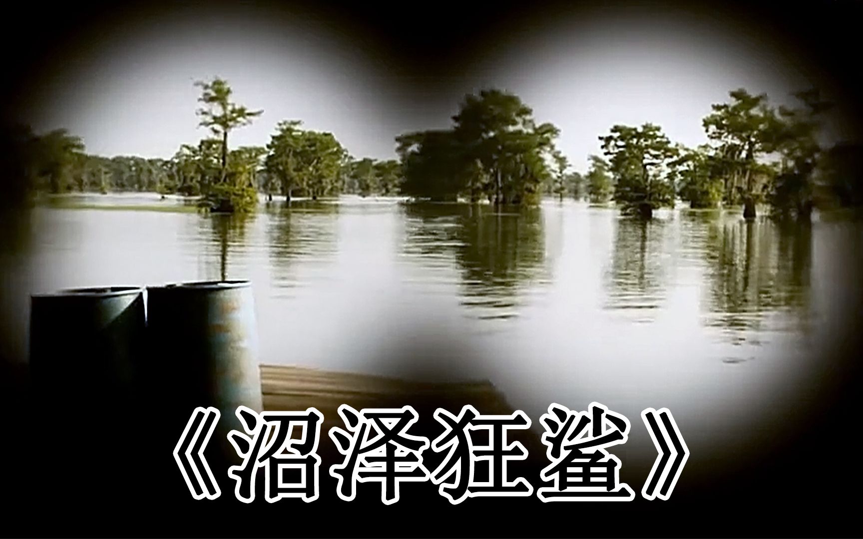 惊悚片：变异鲨鱼称霸沼泽，岸上的人也被它袭击，除了上天啥都会