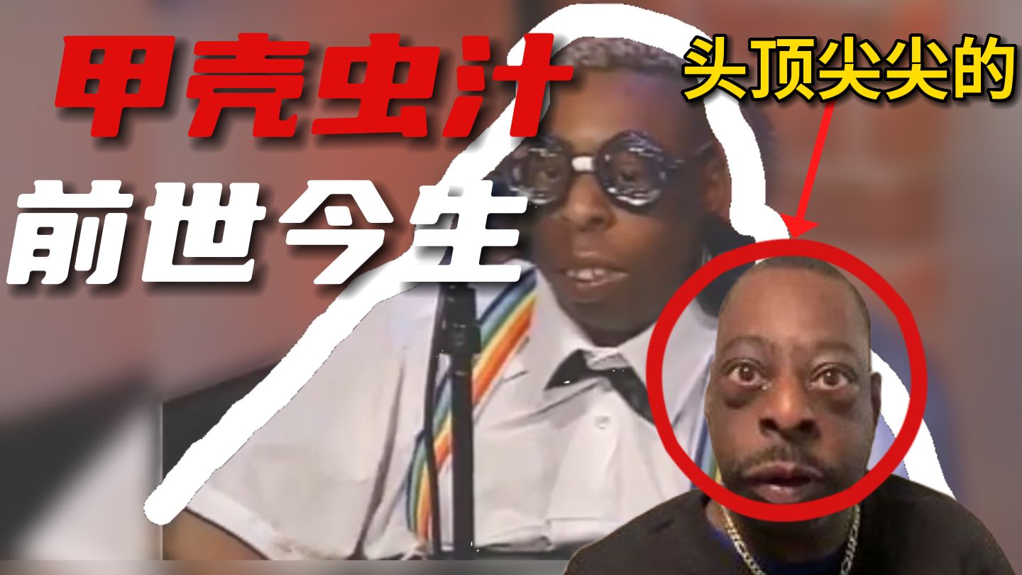 外网爆火的人类智力天花板的甲壳虫汁究竟是谁以及背后的故事