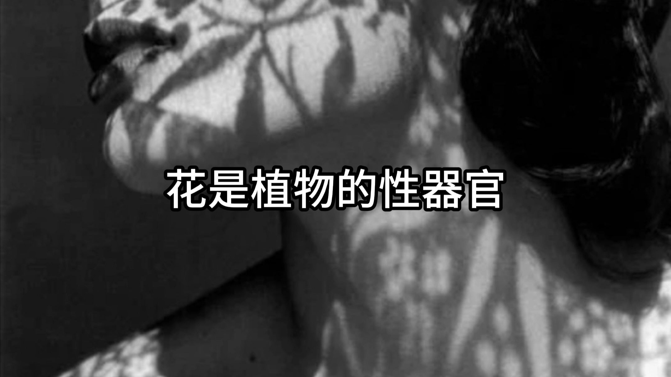“花是植物的性器官。”