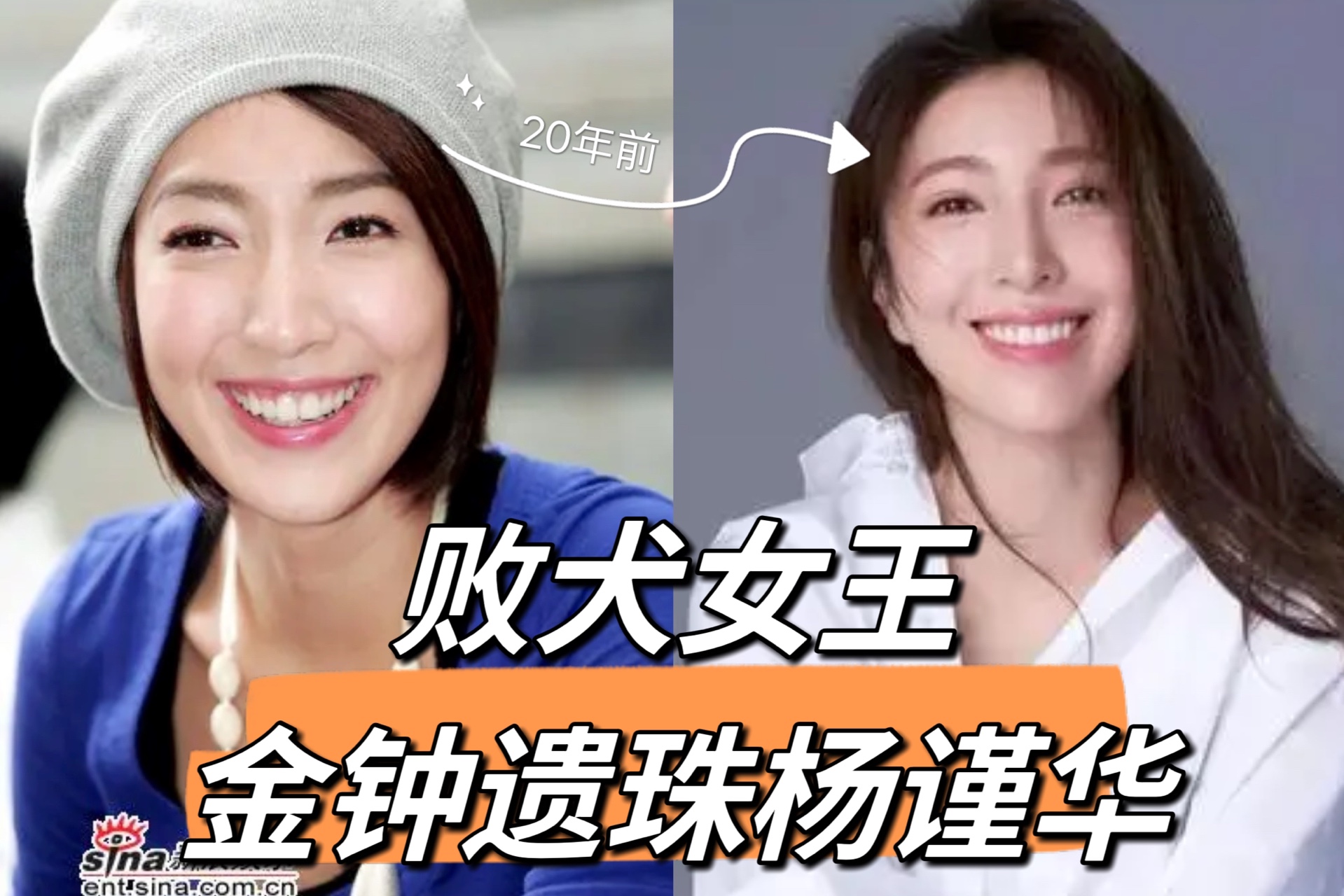 第一御姐？败犬女王？姐妹反目？考古金钟遗珠杨谨华