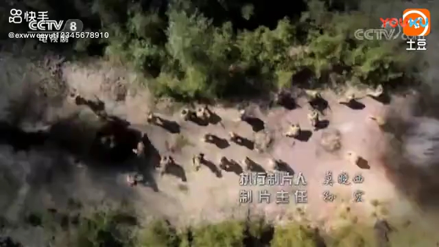 战天狼片头曲