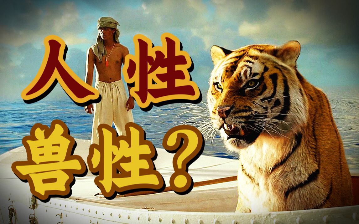 少年与猛虎在海上九死一生，李安的《少年派的奇幻漂流》究竟在讲什么？