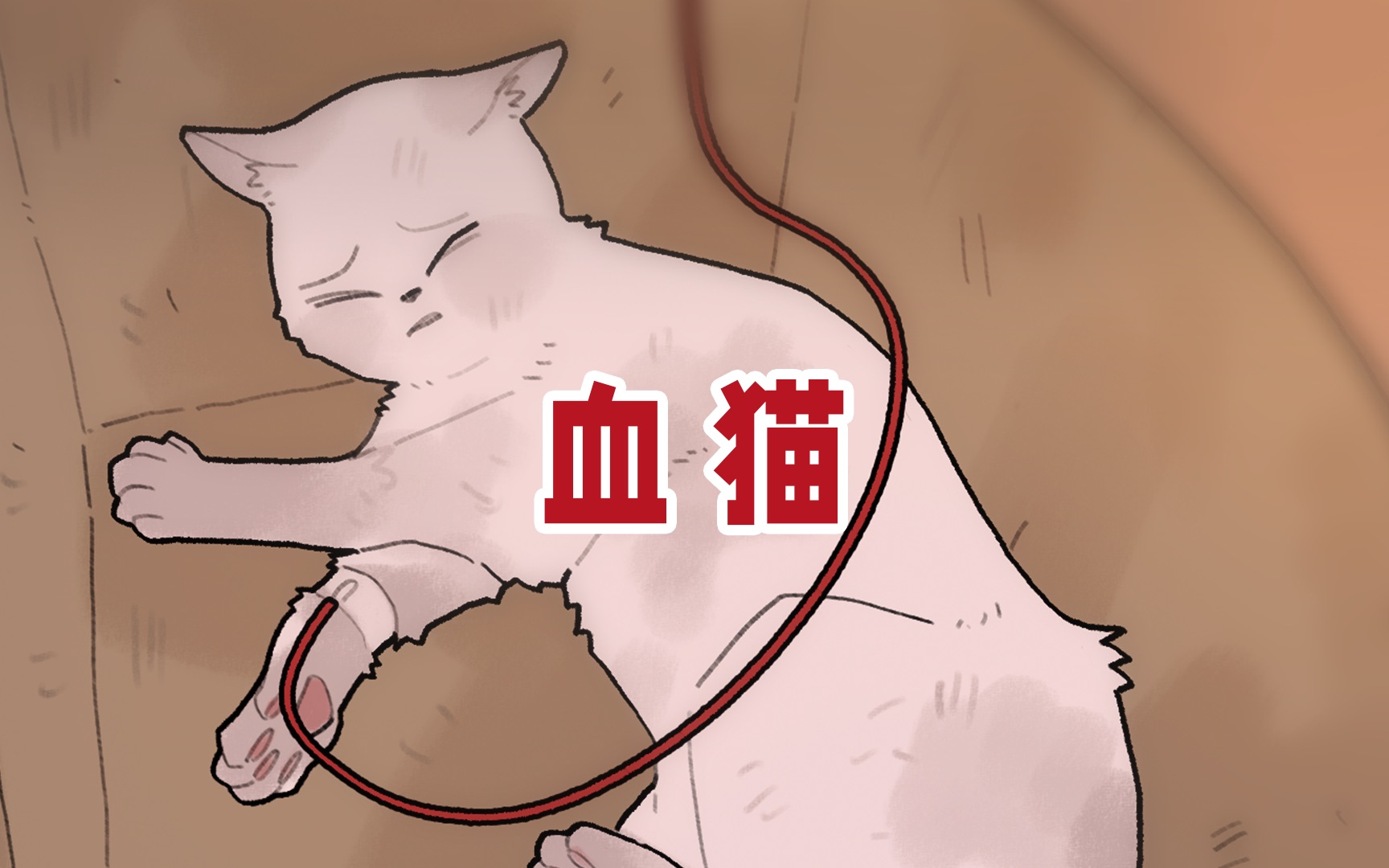 你听说过血猫吗？拯救生命从来不是以命换命！