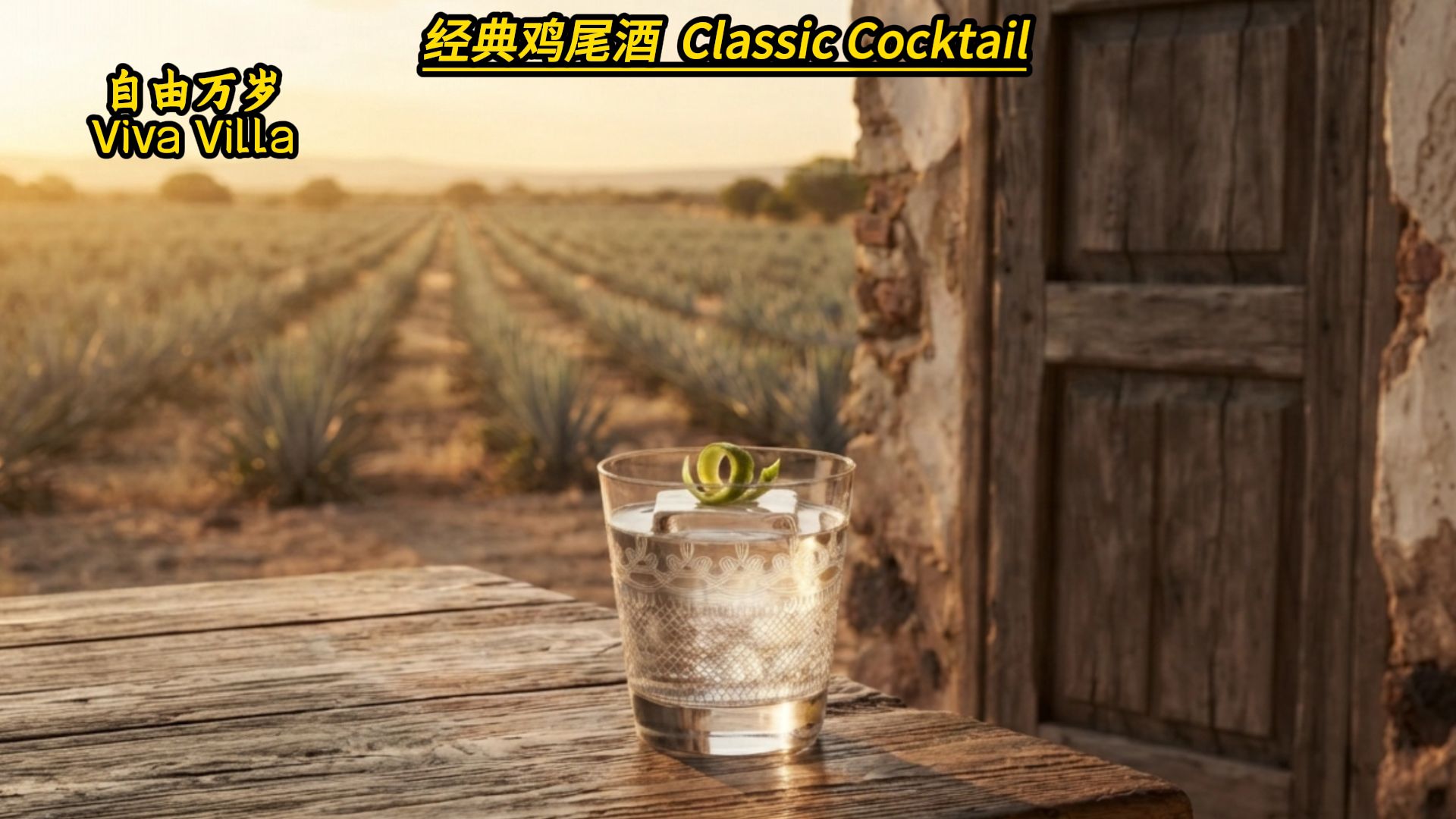 Viva Villa（自由万岁）