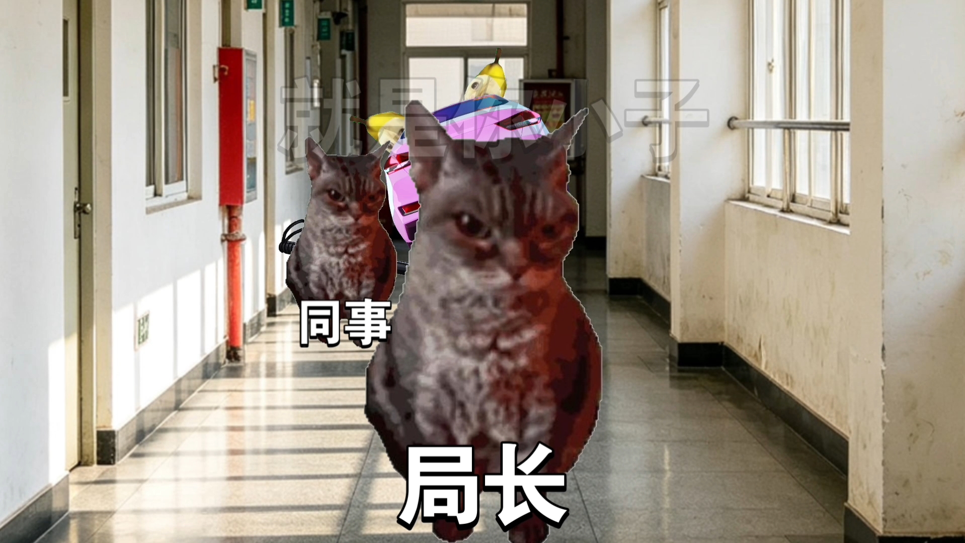 当你遇到高年段校园霸凌1~5合集