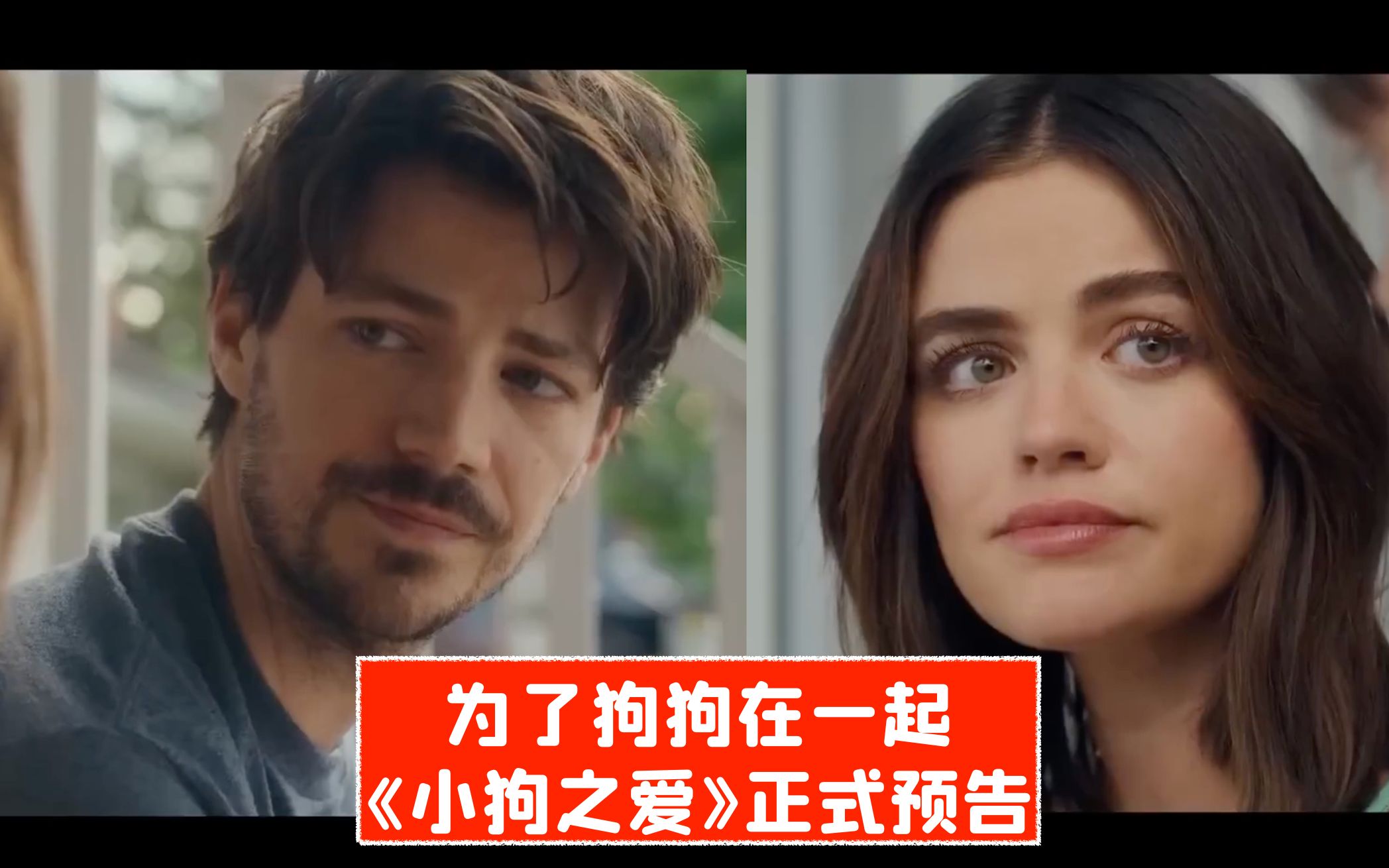 【中字】为了狗狗在一起！《小狗之爱》正式预告