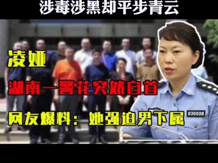 经典回顾之太子奶事件