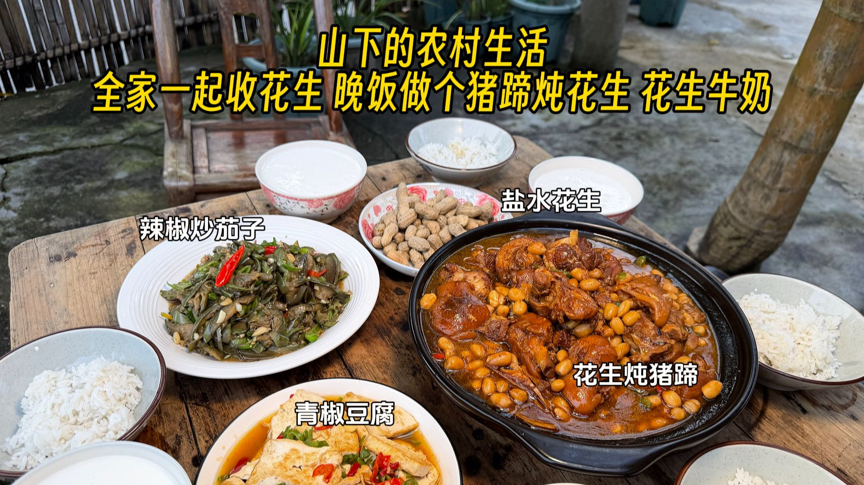 收花生了，没想到自己种的新鲜花生做花生牛奶这么好喝啊