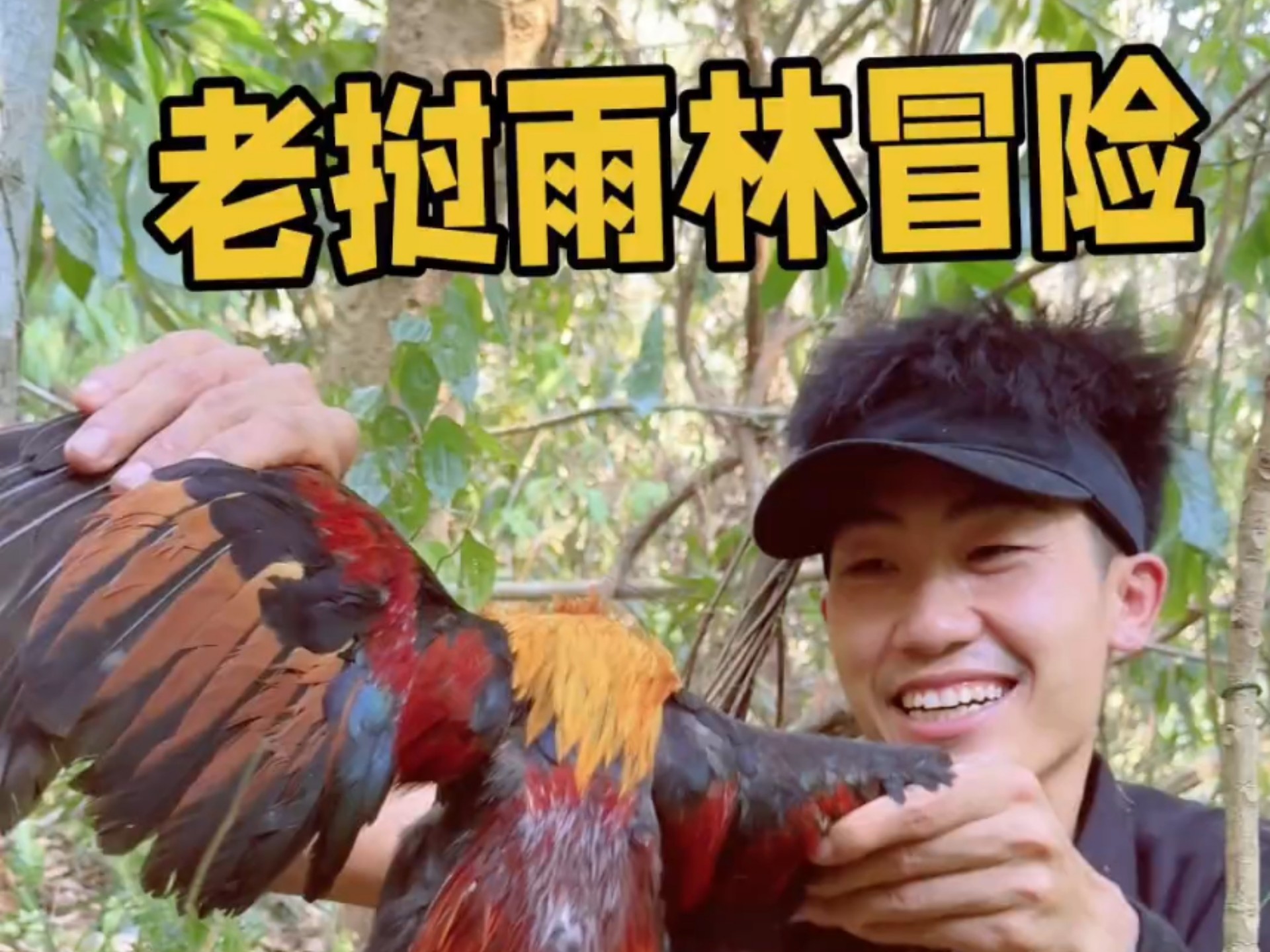 老挝雨林探险第二集，发现野生穿山甲（我滴任务完成啦！）后解救感冒竹鼠，制作鱼笼抓到小鱼，秦哥成功抓到大野鸡