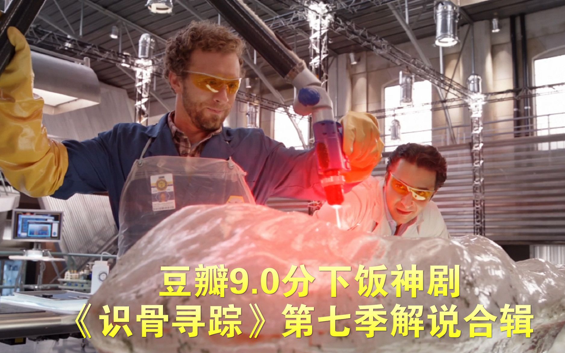 豆瓣9.0分下饭神剧，《识骨寻踪》第七季合辑《哈士奇解说》