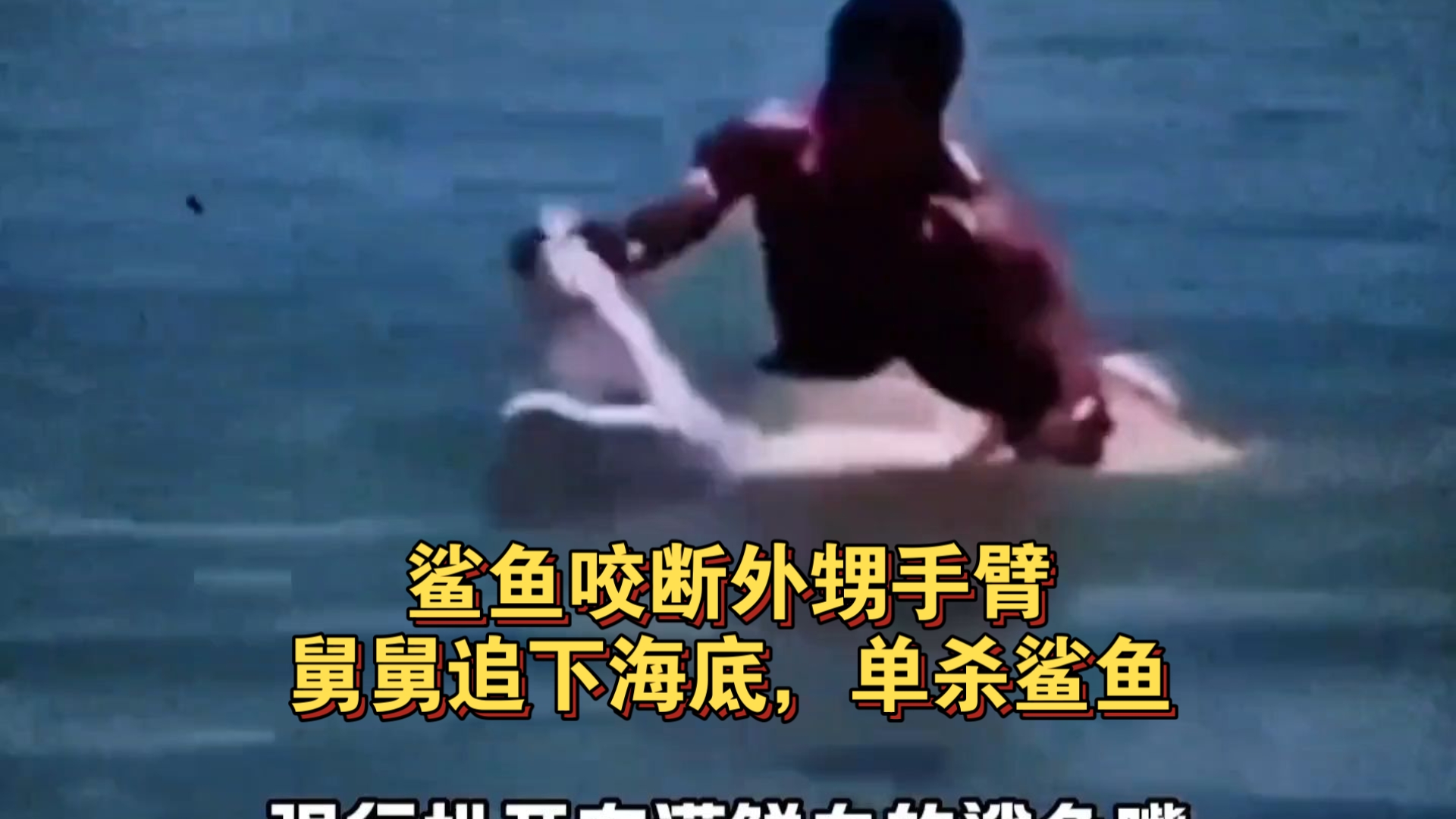 侄子手臂被鲨鱼咬断，他宁愿面对鲨鱼，也不愿面对愤怒的姐姐！ 直接跳下海单杀鲨鱼