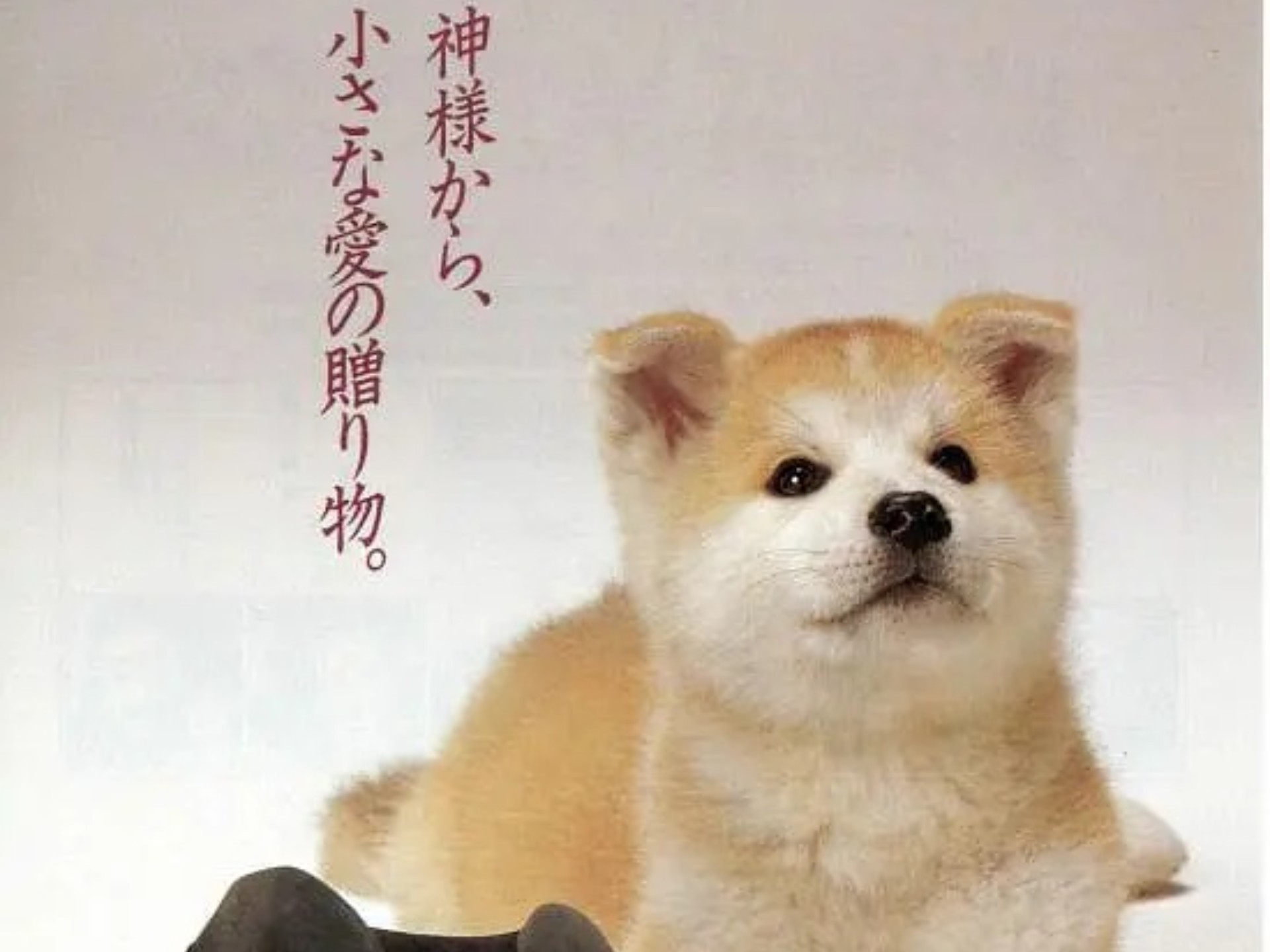 日本经典电影《忠犬八公物语》1987  仲代达矢/八千草薰/柳叶敏郎