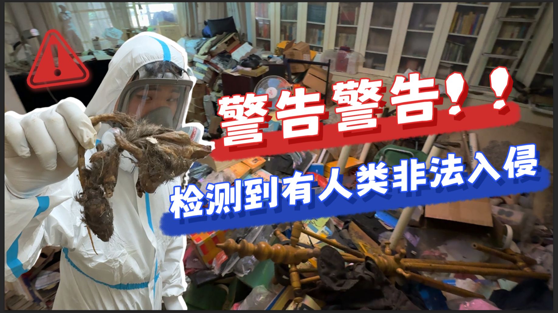 见过反客为主的鼠精集团吗？鼠群午休中，勿扰