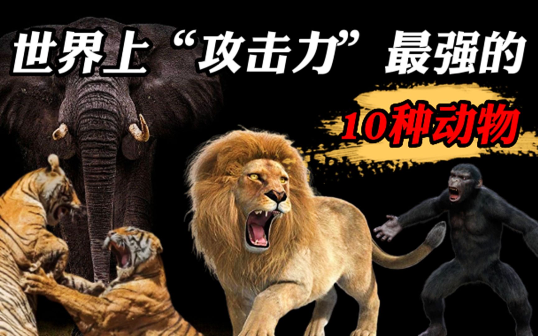 世界上“攻击力”最强的10种动物，被老虎咬一口会是什么结果？