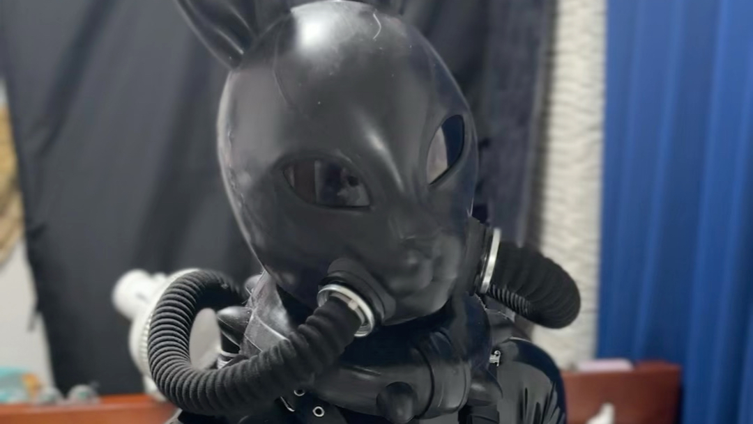 黑色乳胶兔子登场！🐰🖤