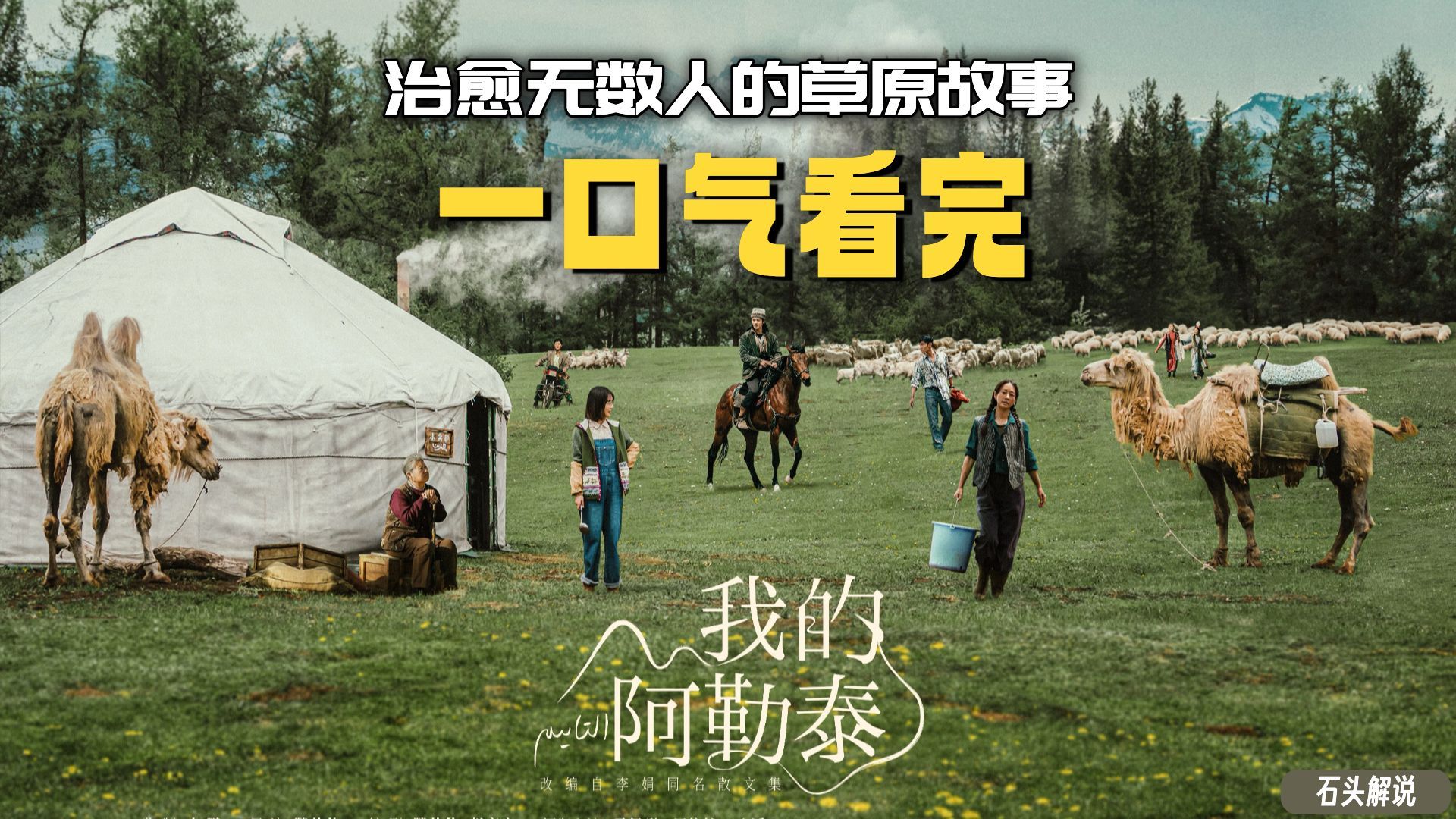 一口气看完《我的阿勒泰》治愈无数人的草原故事，看完真的想去新疆-已处理
