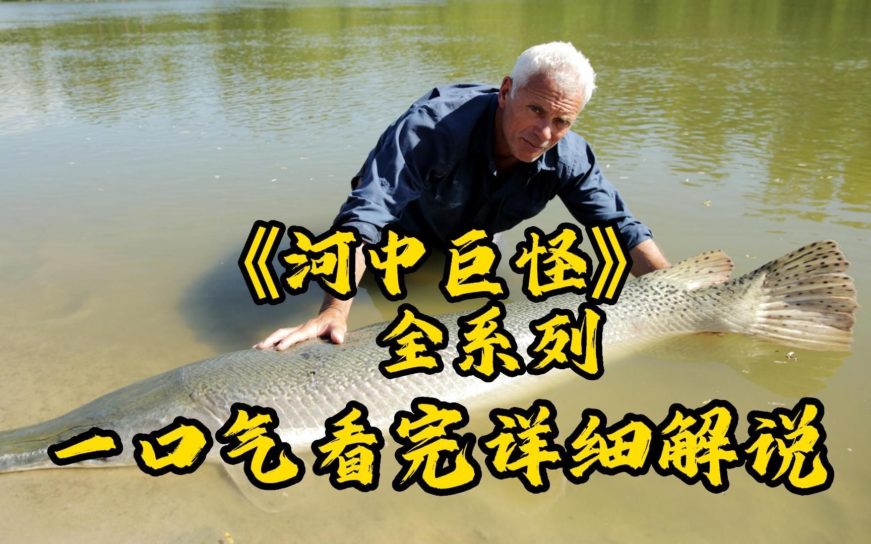 一口气看完《河中巨怪》全系列！爆肝8小时W字！全网最详细观看顺序！超详细高清（4K）巨怪解说！