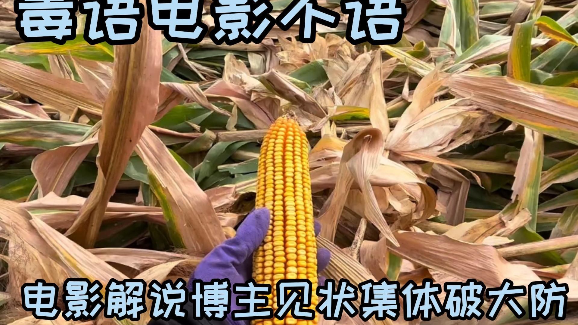 全世界的电影解说都去掰玉米了！