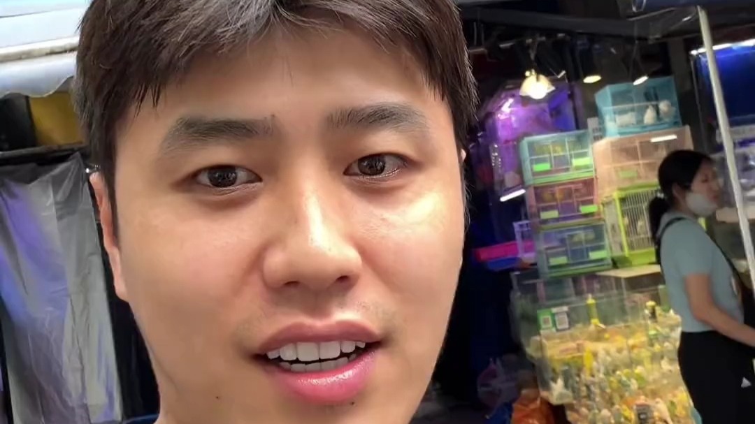 《冯万宁的发财日记7》 #万宁与晚安