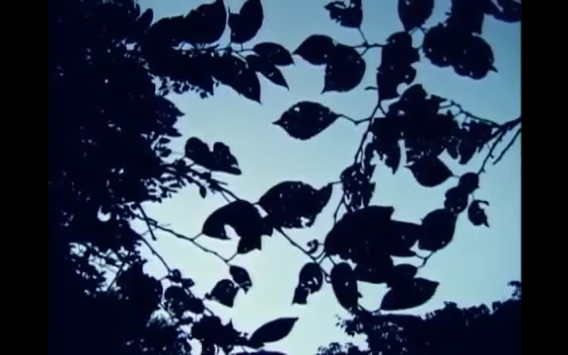 Fishmans - Long Season