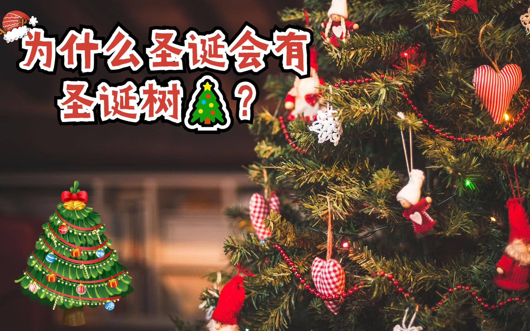 为什么圣诞节外国人要在家里放上一棵圣诞树呢？