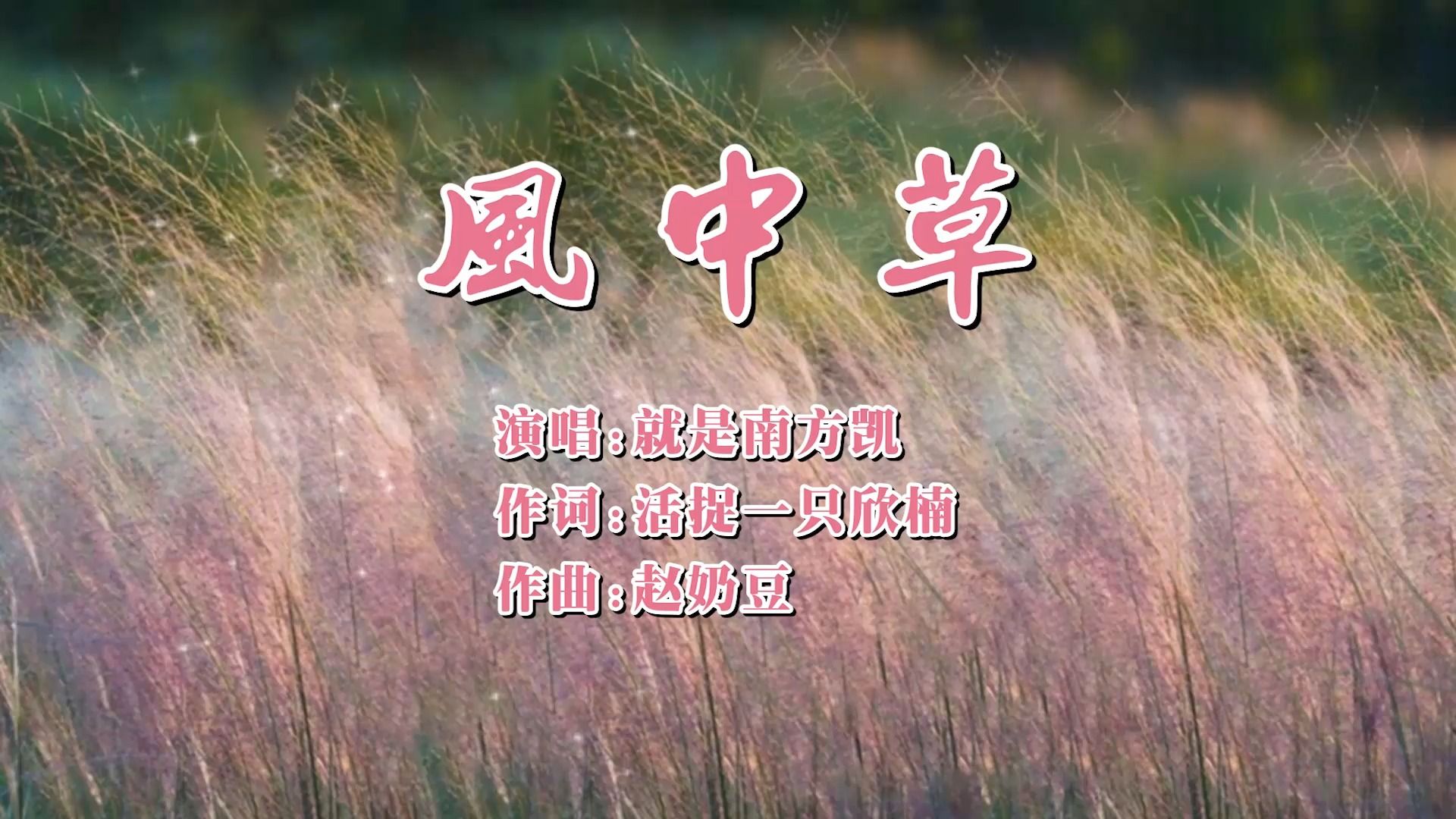 就是南方凯-风中草