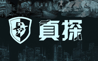 【全成就|全流程】Steam文字推理解谜游戏《真探》视频攻略 迷失攻略组-七月末