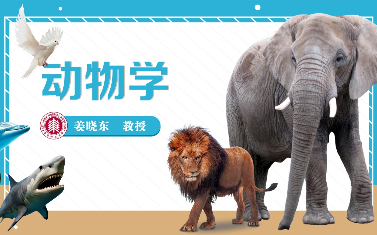 探索动物世界