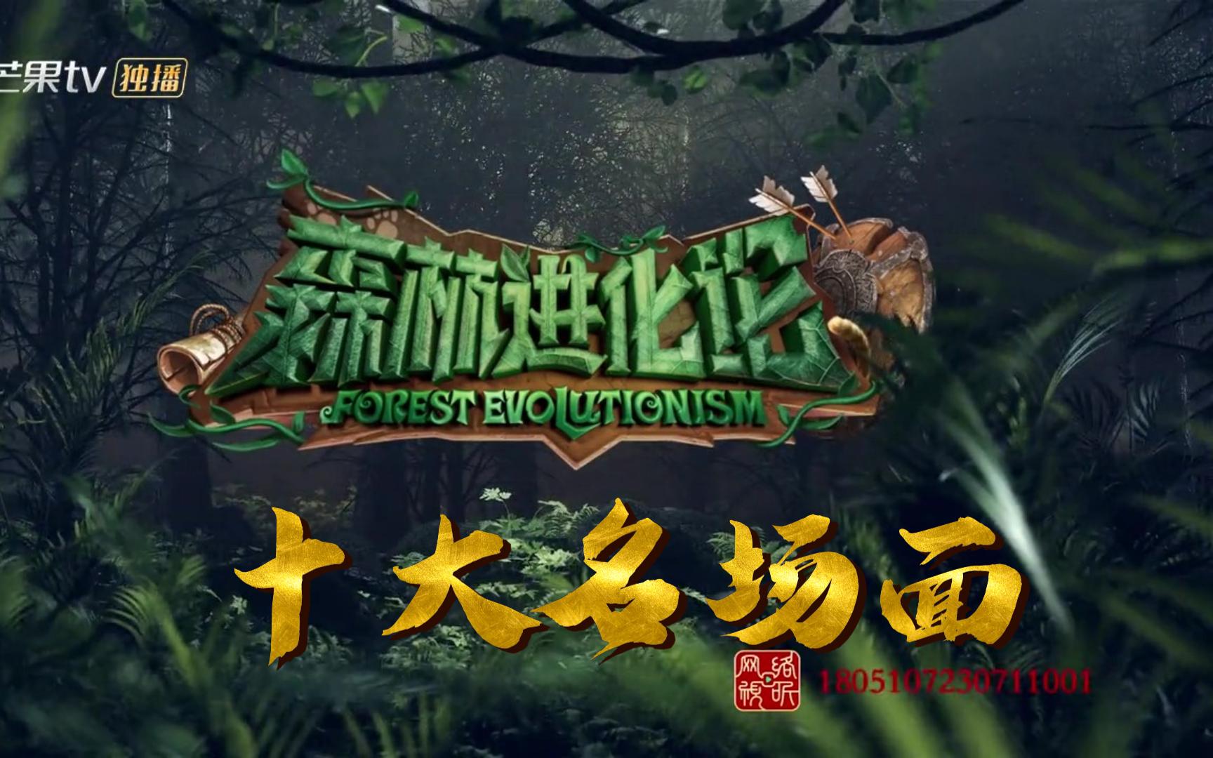 【森林进化论】盘点十大名场面