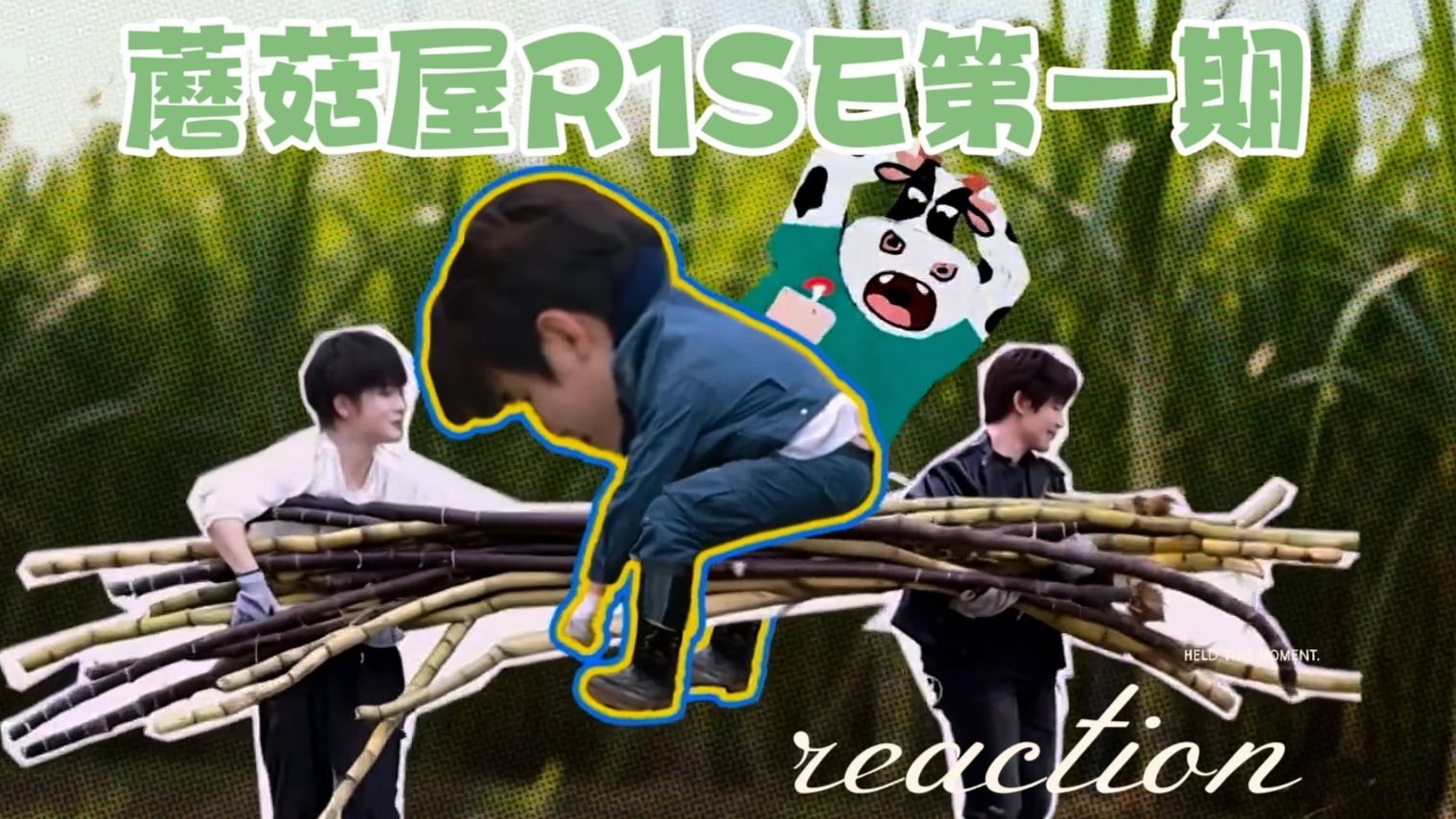 【蘑菇屋R1SE第一期re】大型悬疑剧场，欢迎来到甘蔗地里的埋S案，全程爆笑