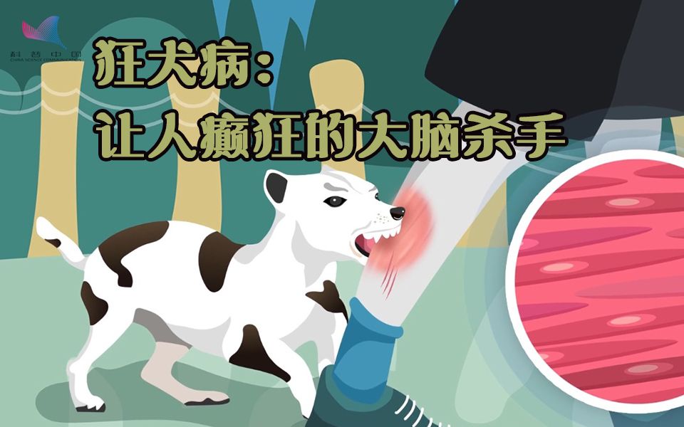 狂犬病：让人癫狂的大脑杀手