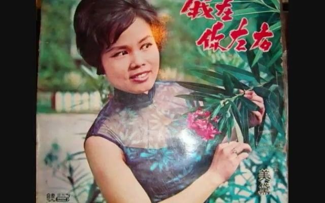 美黛-我在你左右(1965)