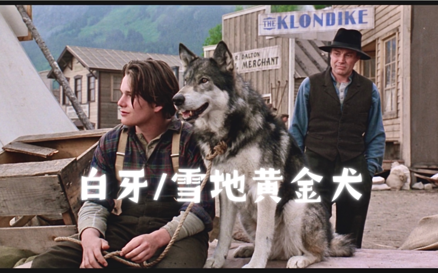 白牙/雪地黄金犬（1991） 根据杰克·伦敦小说改编