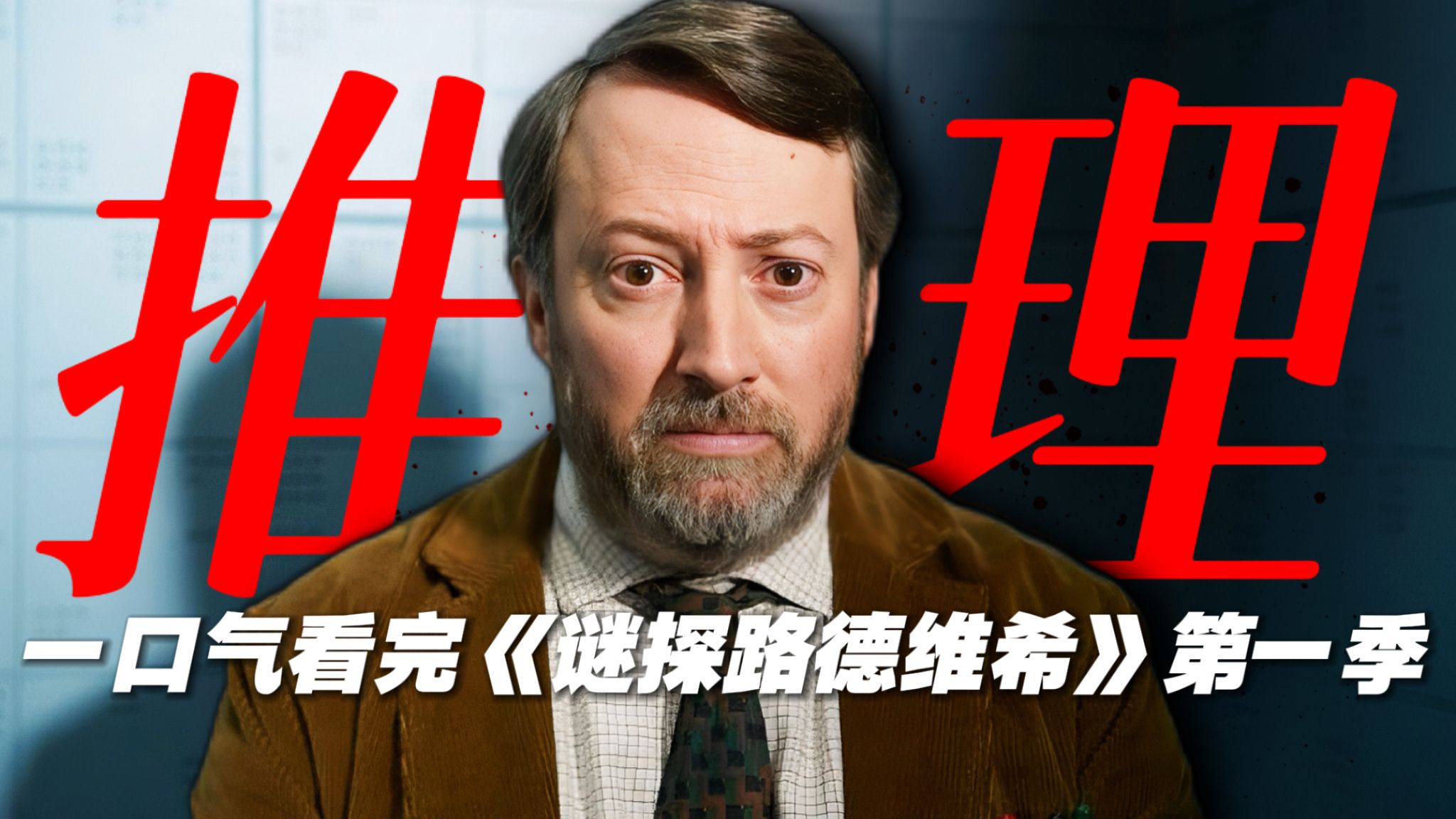 下饭神剧！高智商犯罪！一口气看完英国版白夜追凶，结局让你头皮发麻！《谜探路德维希》第一季