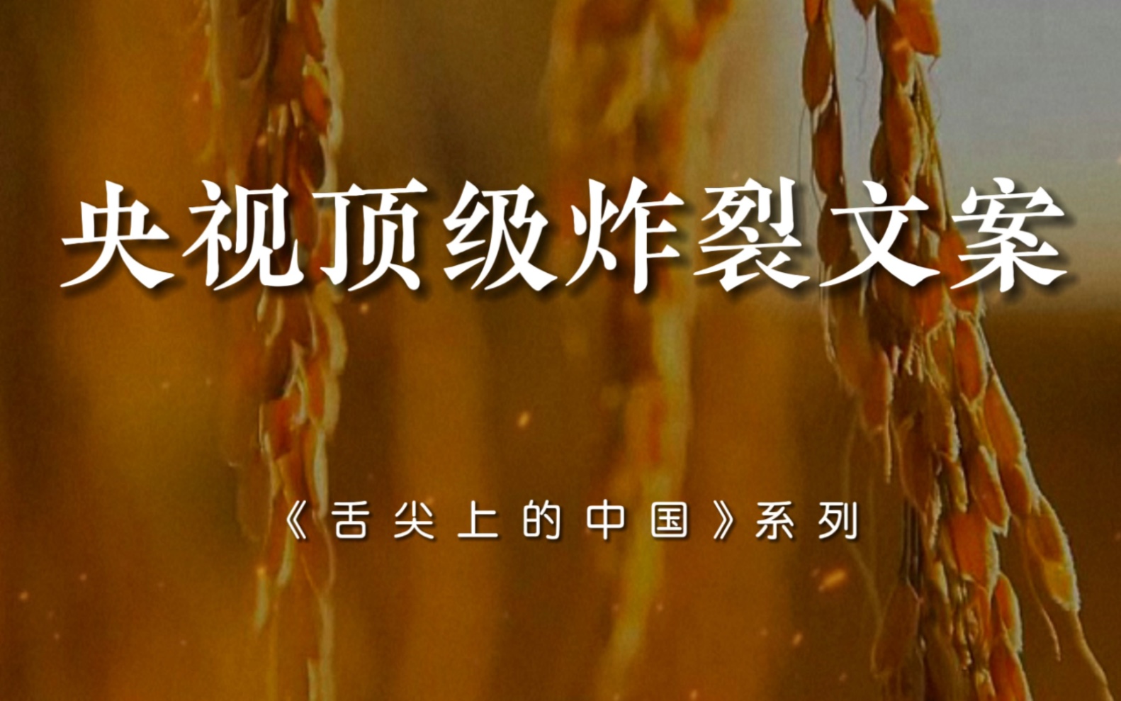 “广厦千间，夜眠仅需六尺；家财万贯，日食不过三餐！”｜央视顶级解说文案，舌尖上的中国系列。