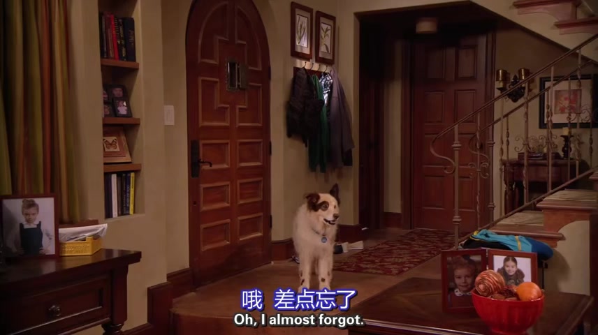 【狗狗日记】 转载  第一季 dog with a blog