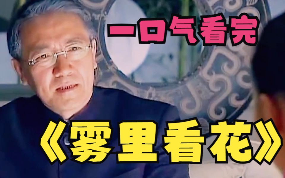 一口气看完《雾里看花》越精美的东西，往往越可疑，古玩全凭眼力，打眼了就要自S吗？
