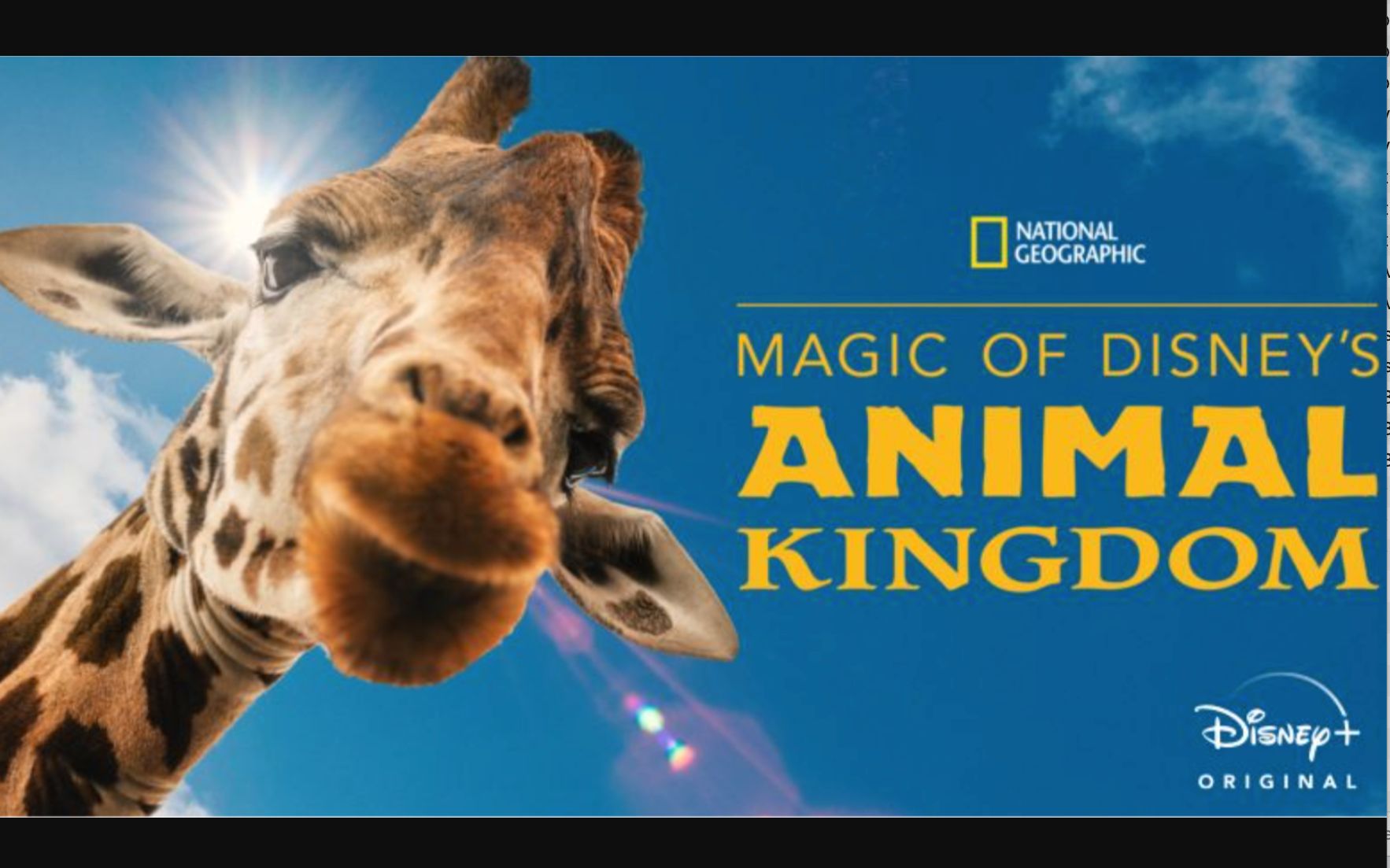[Disney+] 迪士尼动物王国 全8集 Magic of Disneys Animal Kingdom