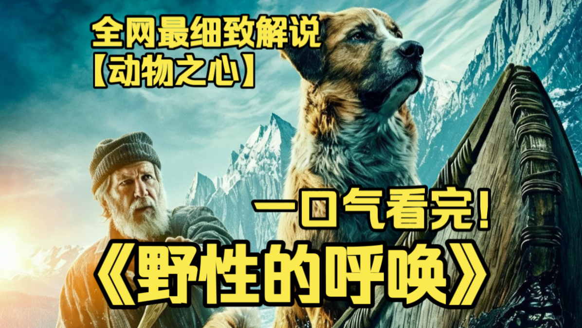 一口气看完4K画质神作《野性的呼唤》改编经典名著，家犬巴克被贩卖至阿拉斯加雪原，历经磨难遇见知己，唤醒心底原始野性，在冰原奔赴自由与生命救赎。