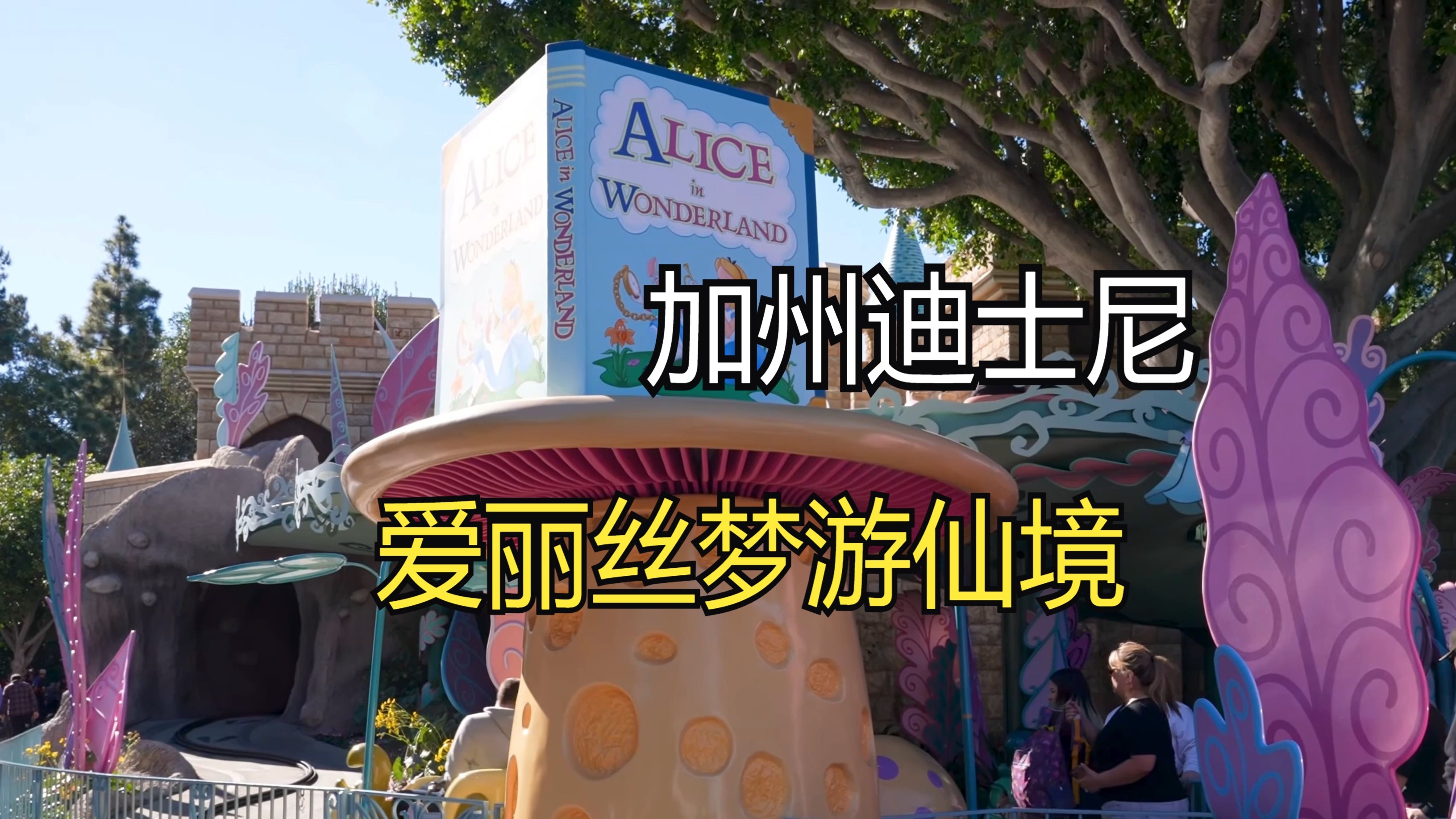 【搬运】加州迪士尼-爱丽丝仙境之旅（Alice in Wonderland the Ride)新/旧版 第一视角pov