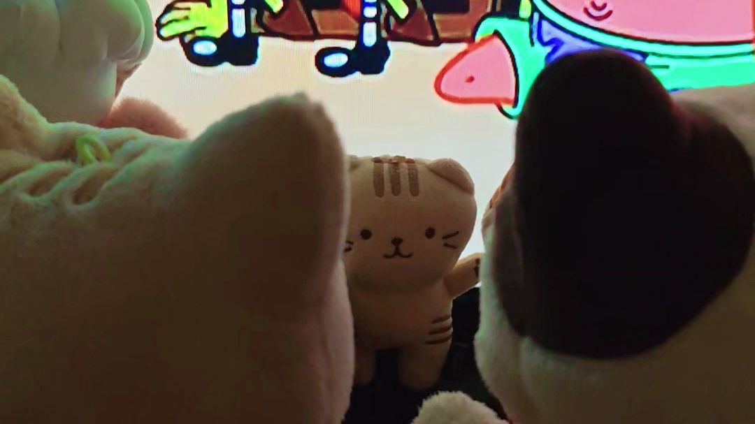 电影院的两只暧昧小猫