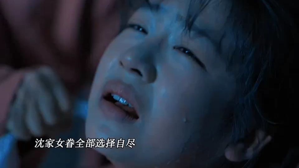 沈家开局灭门，女眷全部充入教坊司为奴，不肯苟活全部自杀！【兰香如故】