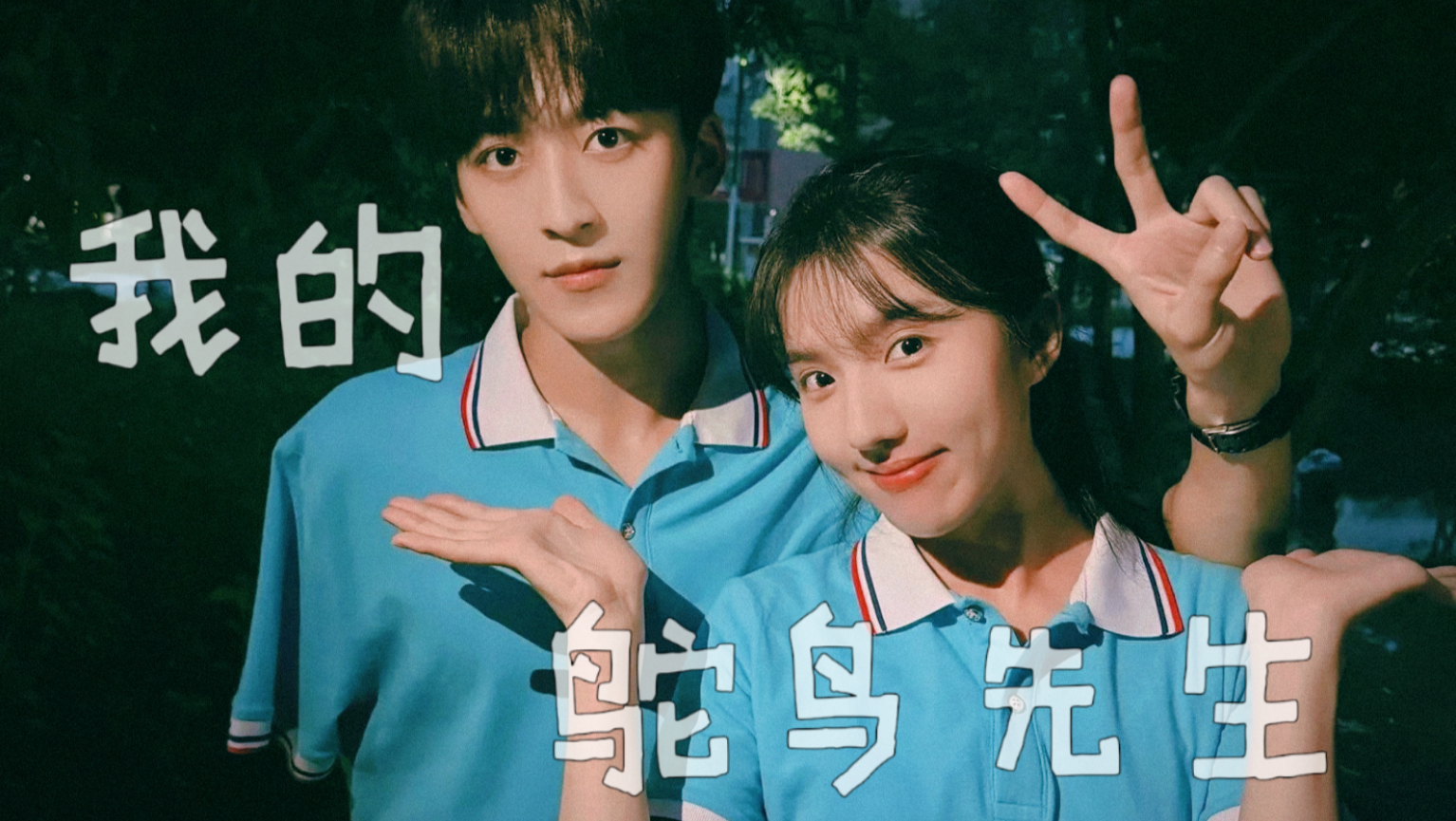 夏夜最后的烟火｜鸵鸟先生X螃蟹小姐的爱情
