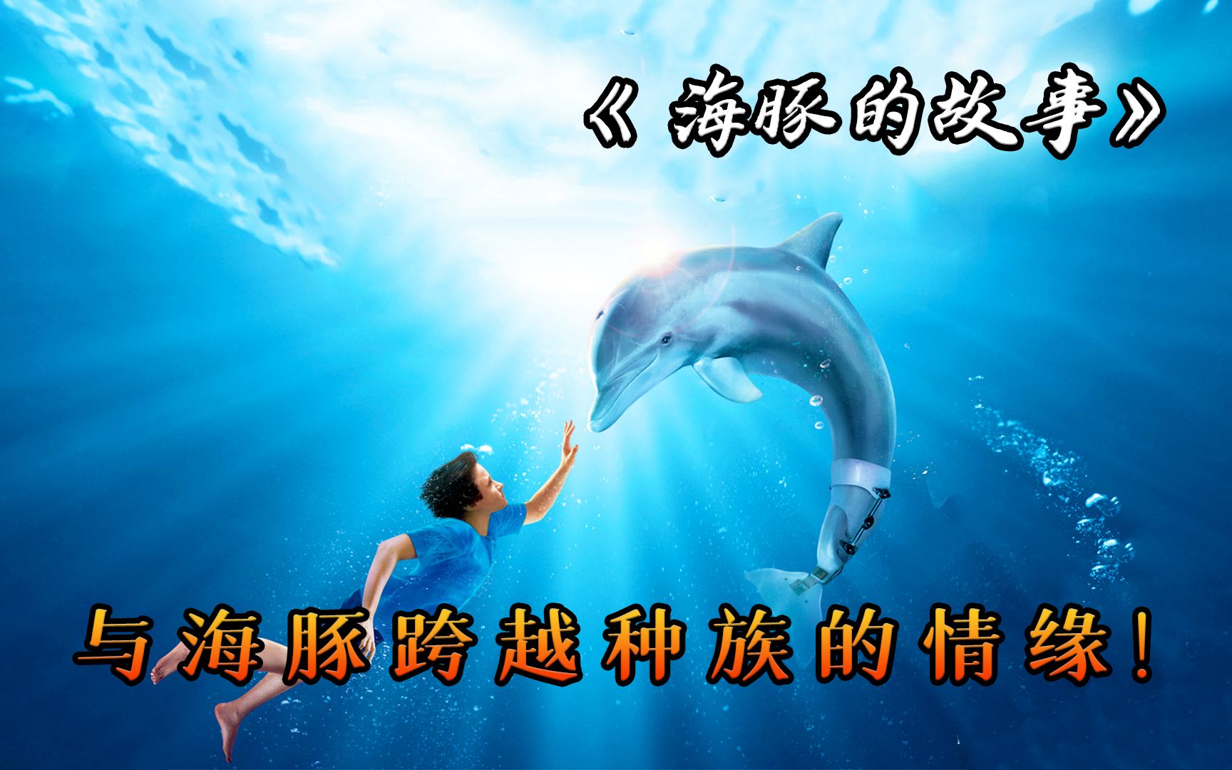 超级励志的海豚，尾鳍被截肢，人类为它装上假肢，电影《海豚的故事》