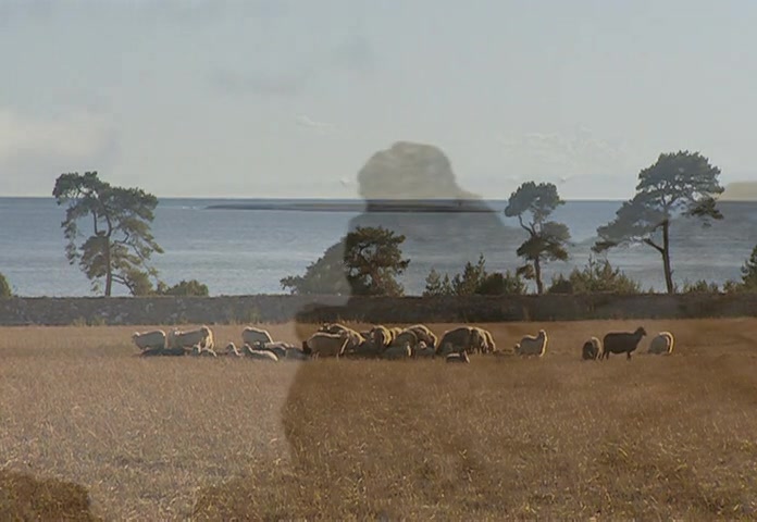 完全伯格曼-伯格曼之岛2004