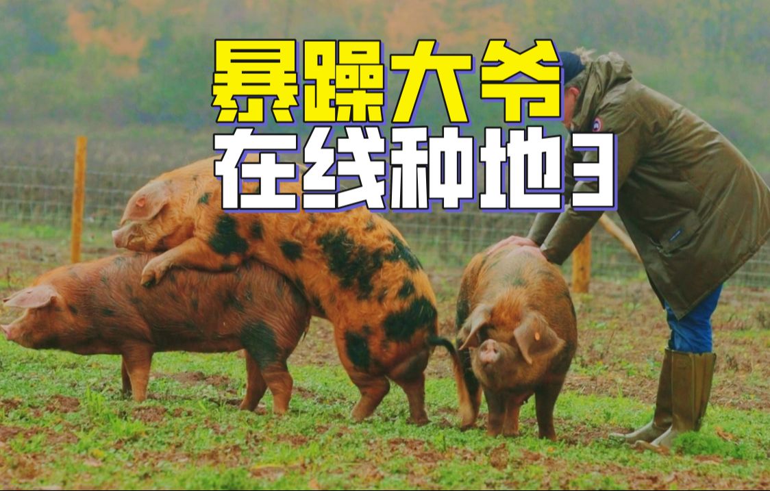 越努力越倒霉，三季归来仍开不好拖拉机，没有农场的npc们，大爷的猩露谷迟早得散 | 打破亚马逊收视记录，豆瓣9.6分爆笑英国综艺《克拉克森的农场》第三季解说