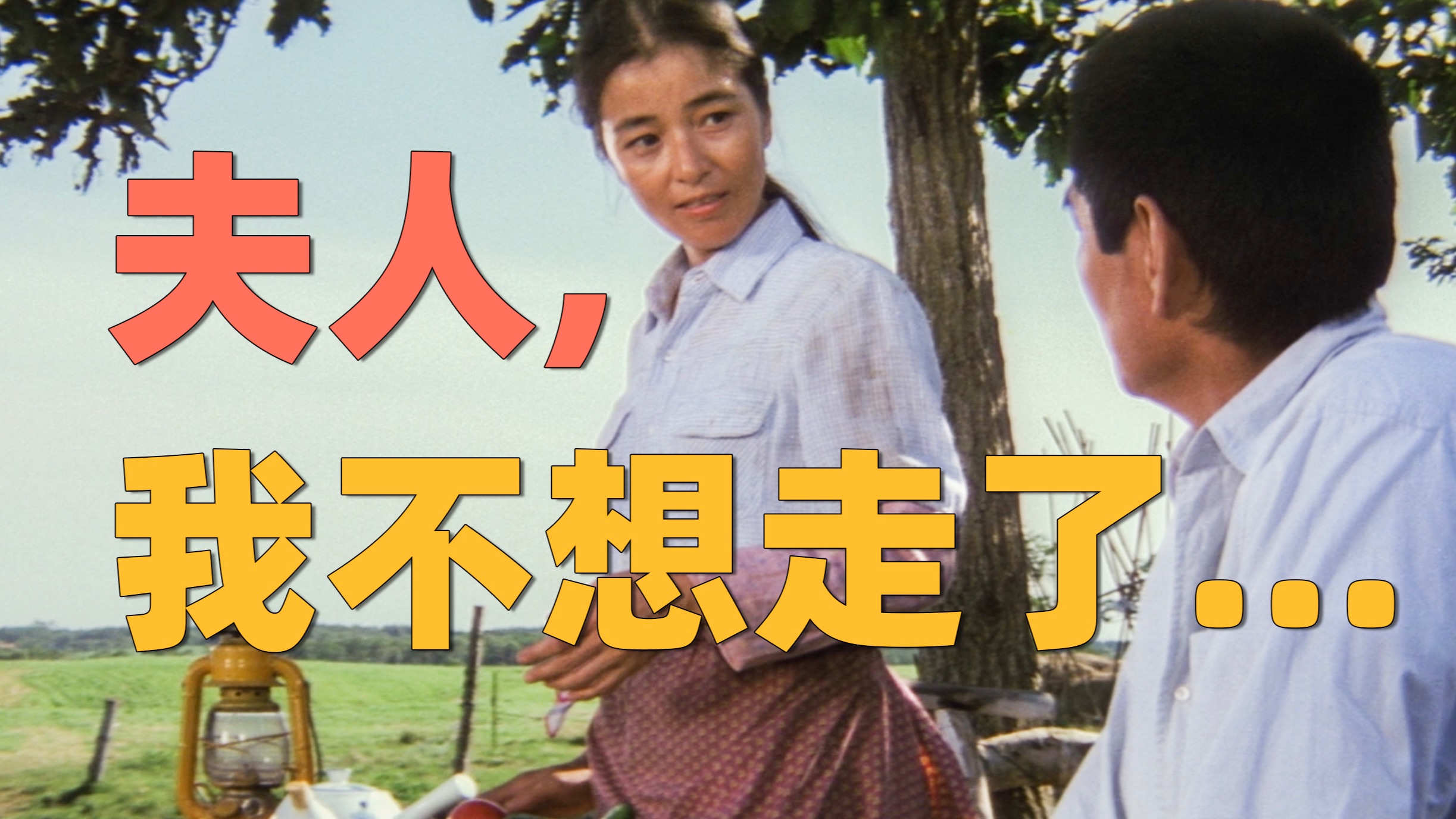 猛男落泪！这才是纯爱战士该看的电影……经典高分《远山的呼唤》高仓健